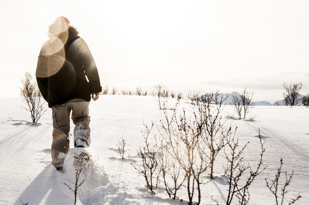 Willa Lyngen North Rotsund Zewnętrze zdjęcie